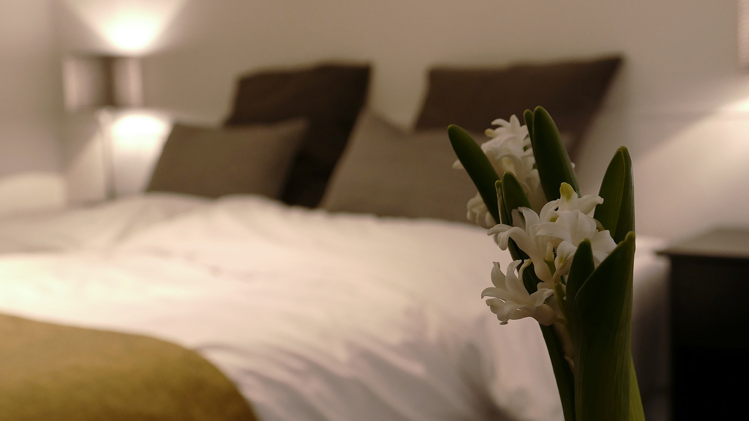 Bredehus Enkelt Superior 2